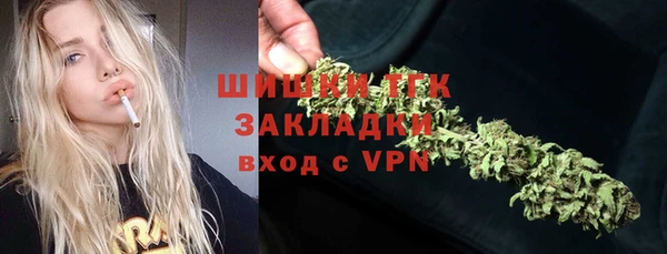 spice Гусиноозёрск