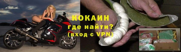 spice Гусиноозёрск