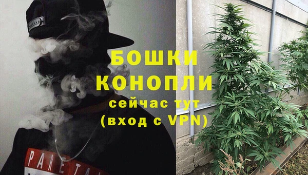 spice Гусиноозёрск