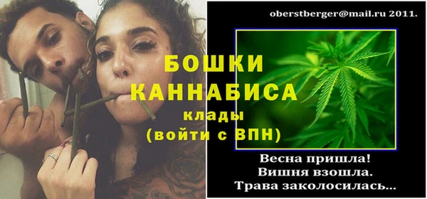 spice Гусиноозёрск