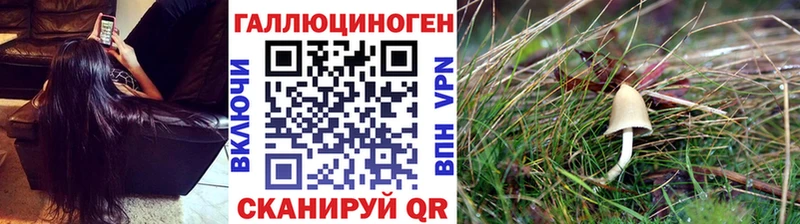 Галлюциногенные грибы мухоморы  Купить где  Киренск 